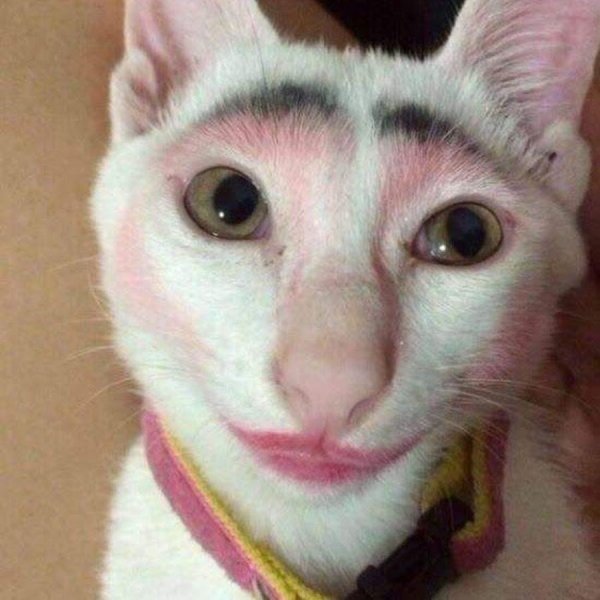 Макияж кота