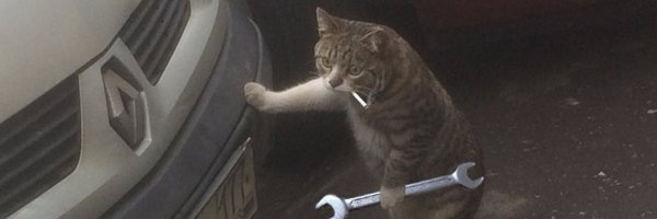 Кот с гаечным ключом