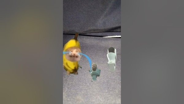 Котик бананчик плачет