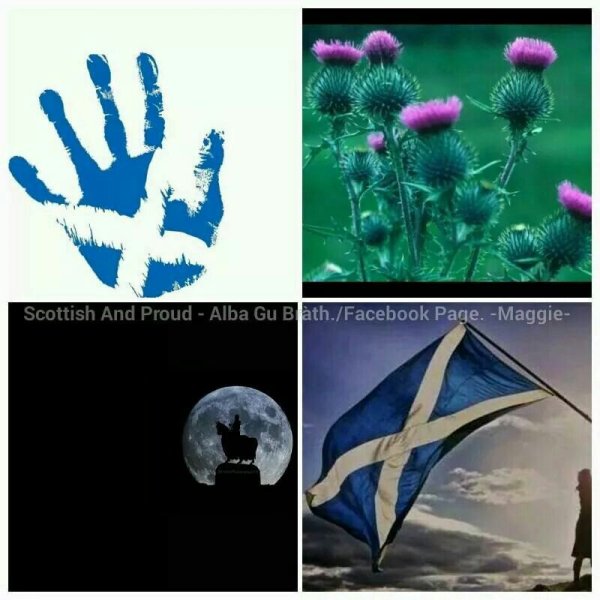 Scotland Forever Мем с викингом