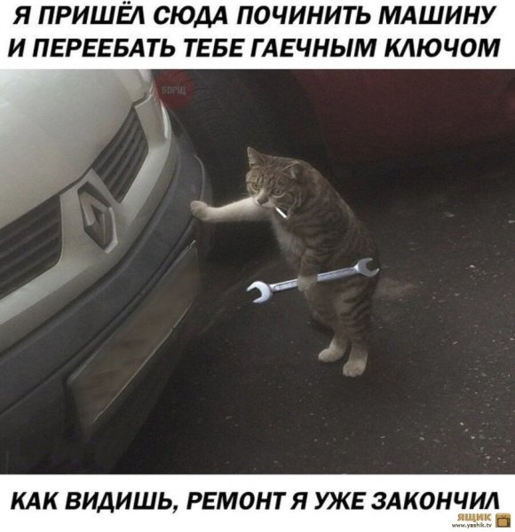 Кот чинит машину с сигаретой