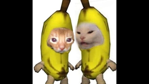 Котик в банане