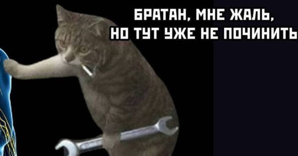 Мем кот тут уже не починить