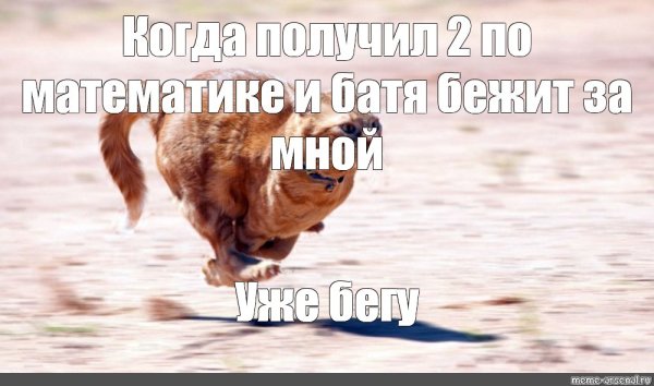 Кот убегает Мем