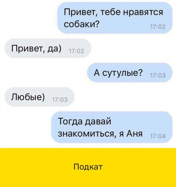 Собака сутулая Мем