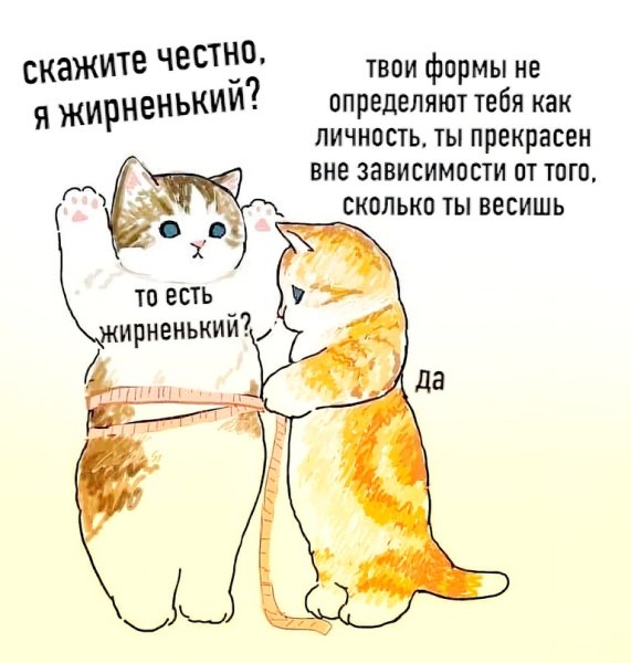 Я толстенький котик