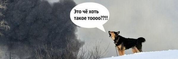 Это че хоть такое то