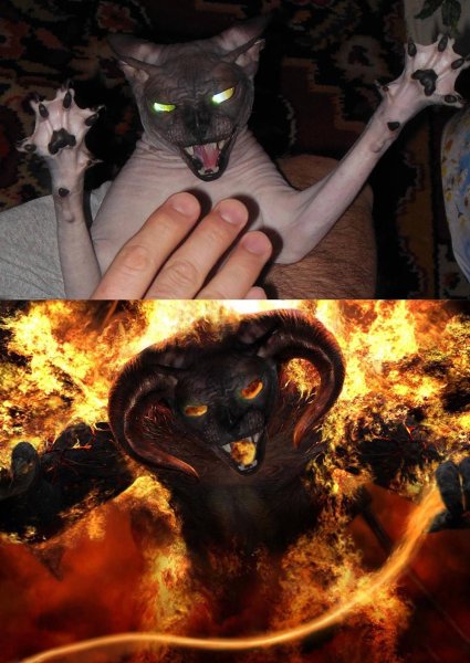 Зловещий кот