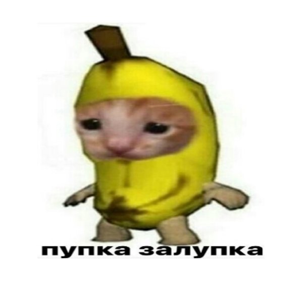 Кот бананчик
