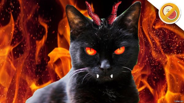 Дьявольская кошка