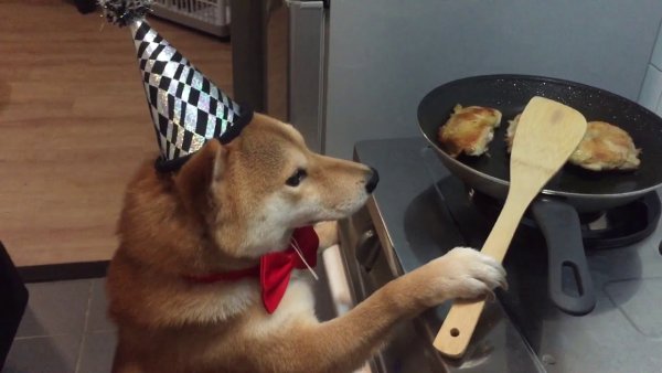 Рас рас и готово собака