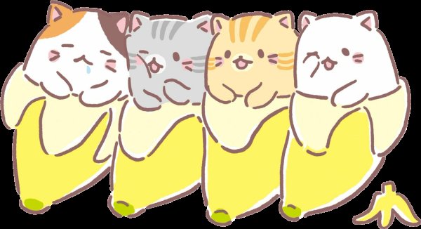 Мемные котики банан