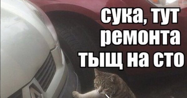 Тут ремонта тыщ на СТО