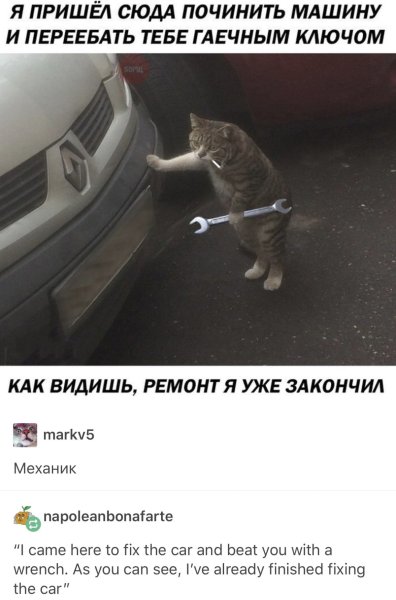 Кот с гаечным ключом Мем
