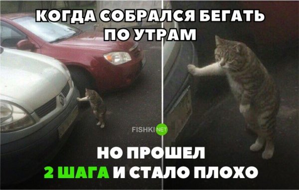 Когда собирался бегать по утрам но прошел два