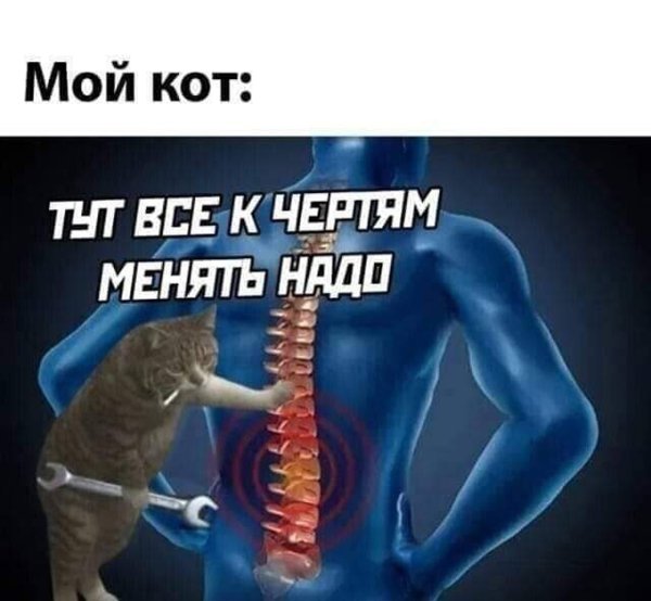 Позвоночник Мем