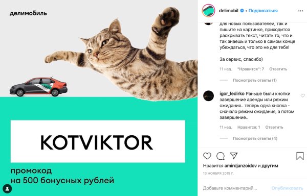 Толстый кот Виктор Аэрофлот