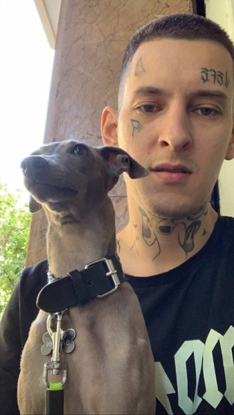 Собака кизару фото