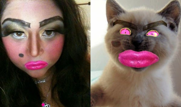 Накрашенная кошка