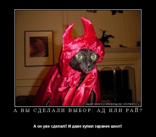 Коты демоны