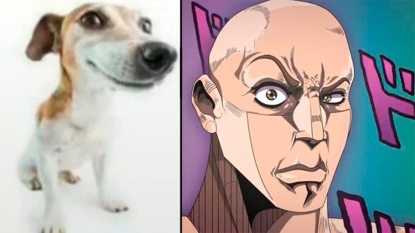 Собака скала Мем