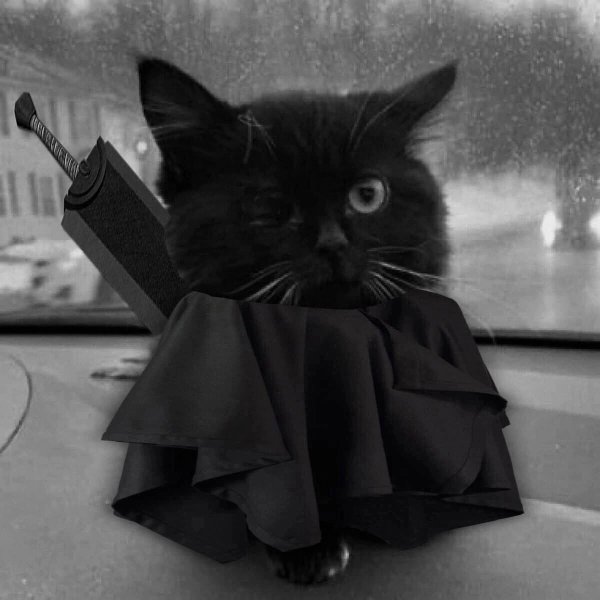 Чмоня Вирго