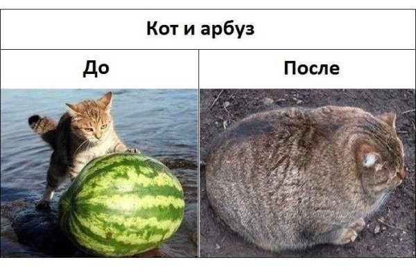Кот съел Арбуз