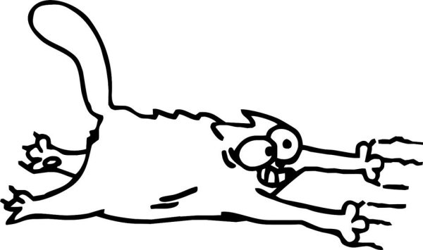 Наклейка - кот