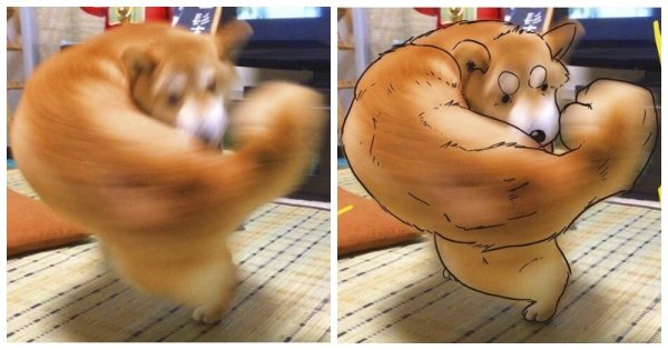 Собака силач