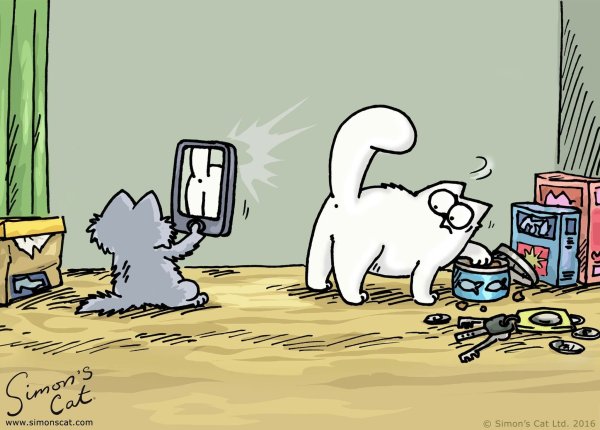 Кот Саймона мультсериал