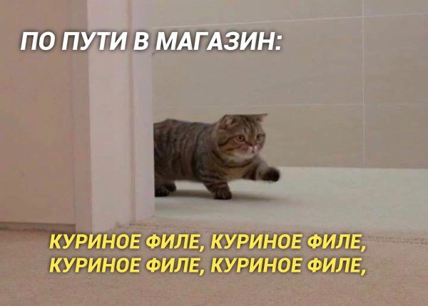 Кот топает