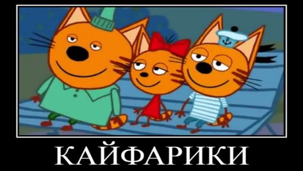 Приколы 3 кота