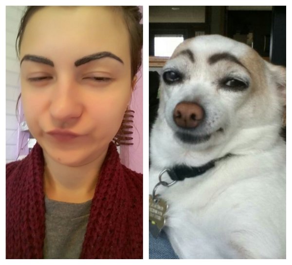 Срьакас бровями