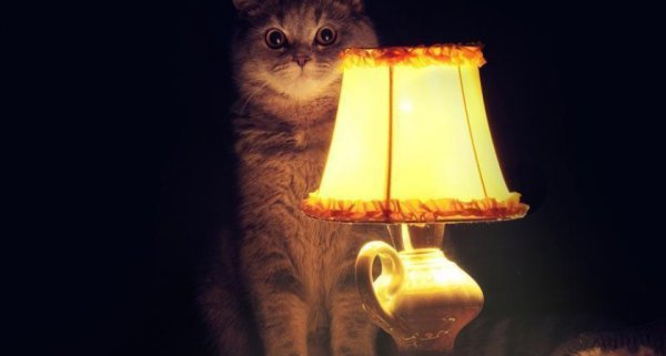 Лампа кот
