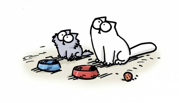 Кот Саймон картинки