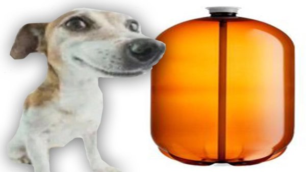 Собака скала