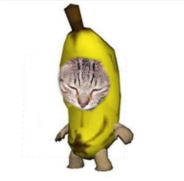 Кот банан Мем