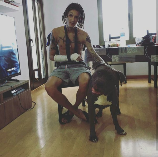 Левретка кизару