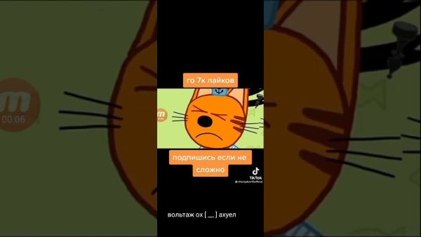 Шутки 3 кота