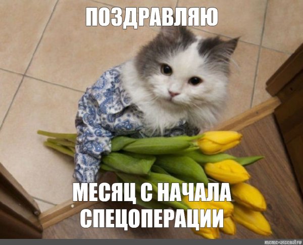 Котик с букетом