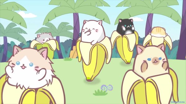Кот Бананька аниме