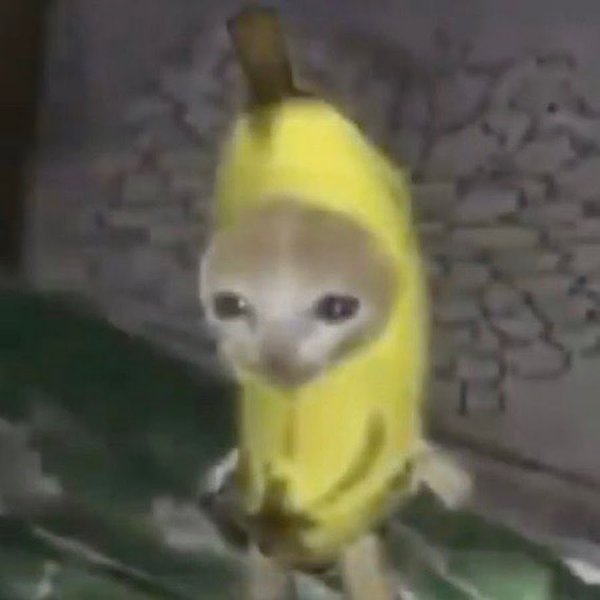 Плачущий кот в костюме банана