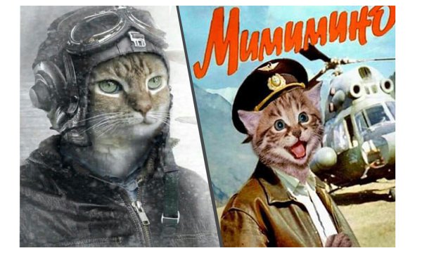Кот летчик приколы