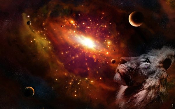 Корги в космосе