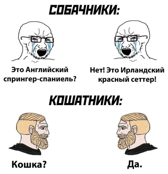 Современные мемы