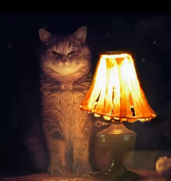 Кот около лампы