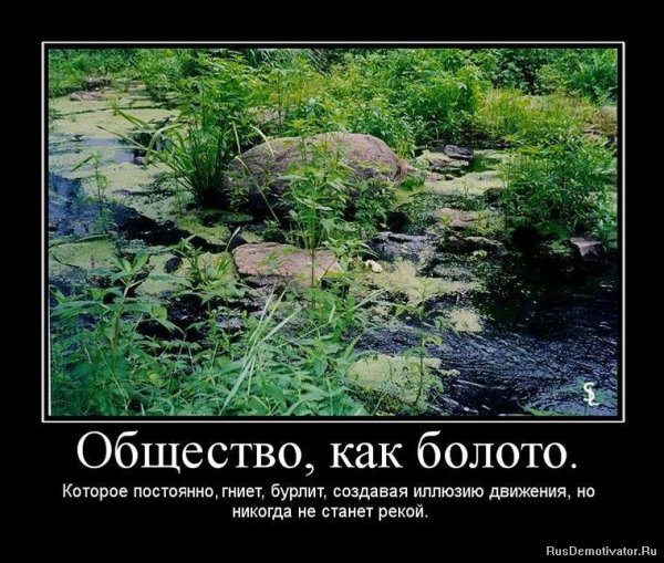 Болото демотиватор