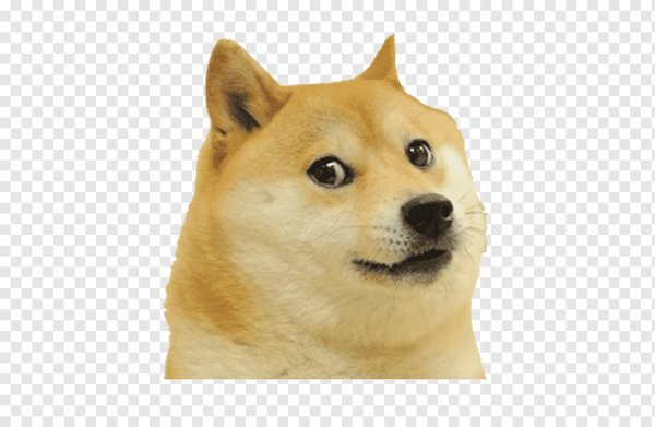 Собака доги Мем