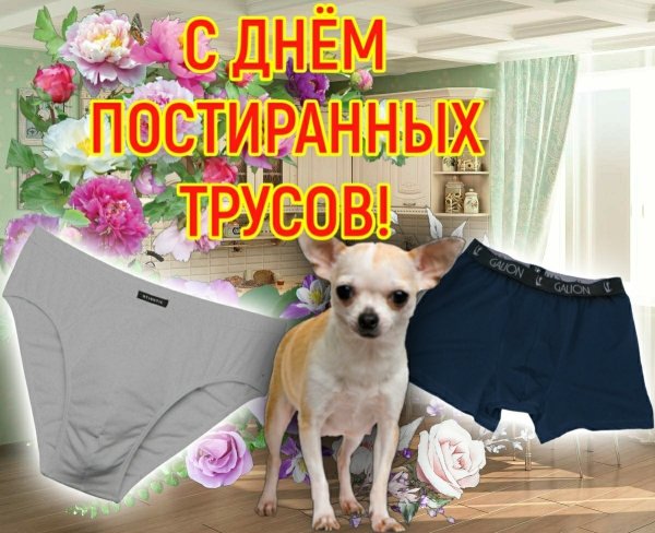 С днем трусов