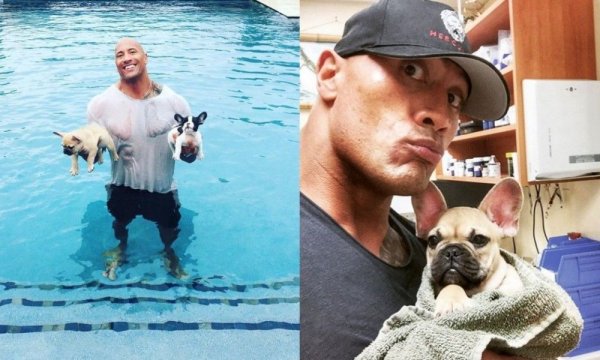 Дуэйн Джонсон с бульдогом